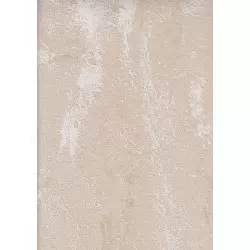 23227-6 Evo Duvar Kağıdı ile Mekanlarınıza Modern Bir Soluk Katın