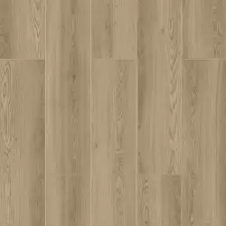 Modern Kafkas Meşe 709